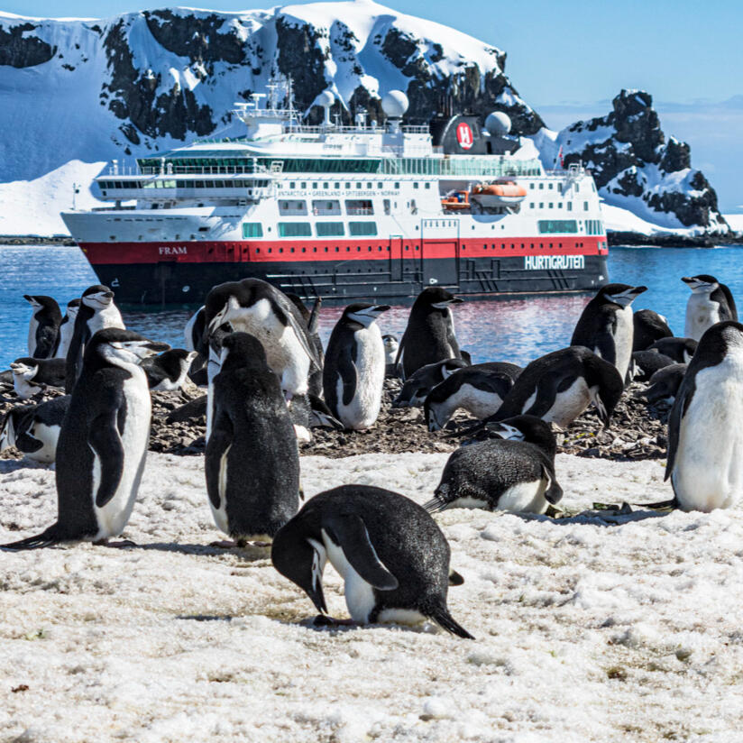 Reise in die Antarktis